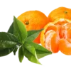 EDC-mandarine
