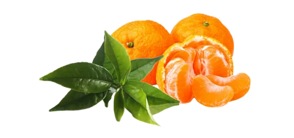 EDC-mandarine