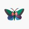 Papillon Acacia Studio Roof