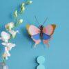 Papillon Gold Rim Studio Roof