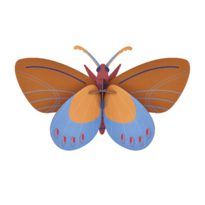 STUDIO ROOF • Ochre Costa Butterfly