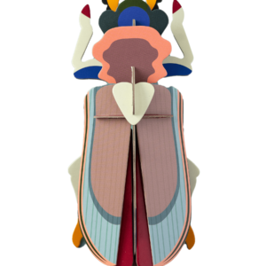 STUDIO ROOF • Tiger Beetle