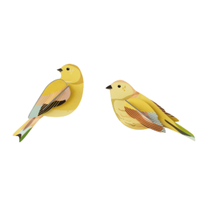 STUDIO ROOF • Couple de Citrinella