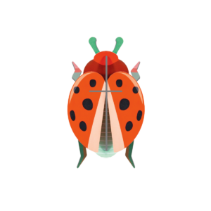 STUDIO ROOF • Coccinelle rouge