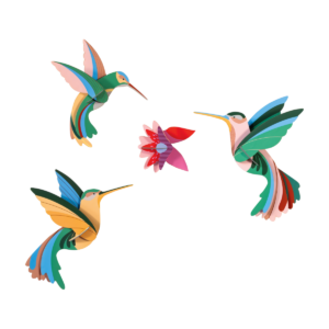 STUDIO ROOF • Dance of Hummingbirds