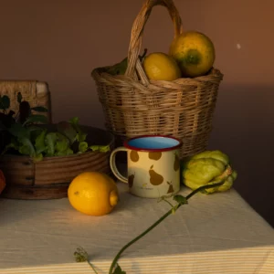 STICKY LEMON • Tasse en email