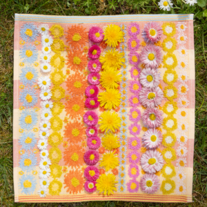 FOEKJE FLEUR • Duo de mini serviettes #132 "Daisy & Dande"