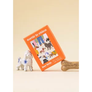 JOUR FÉRIÉ • Puzzle 100 pcs "Sortir le chien"